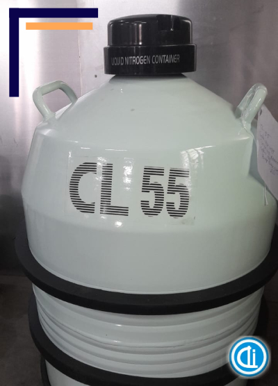 CL 55 Liquid Nitrogen Container